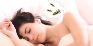 Spiritual Biblical Meaning of Lice in a Dream