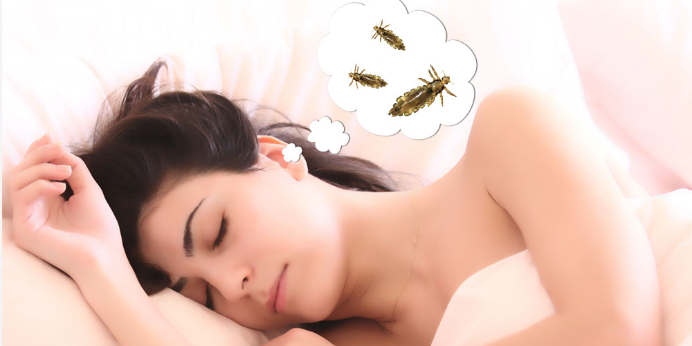 Spiritual Biblical Meaning of Lice in a Dream