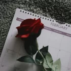 What is the February Zodiac Sign?