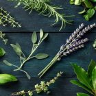 Herbs And Plants That Ward Off Evil Spirits