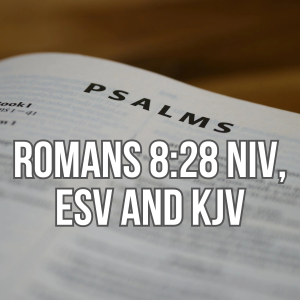 ROMANS 8:28 NIV, ESV AND KJV - BIBLICAL MEANING AND SPIRITUAL MESSAGE