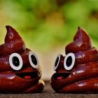 Spiritual Biblical Meaning of Poop in a Dream