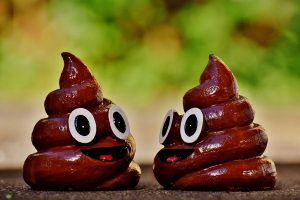 Spiritual Biblical Meaning of Poop in a Dream