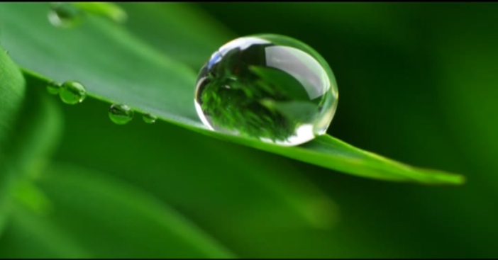Dream of Dew - Biblical Message and Spiritual Meaning