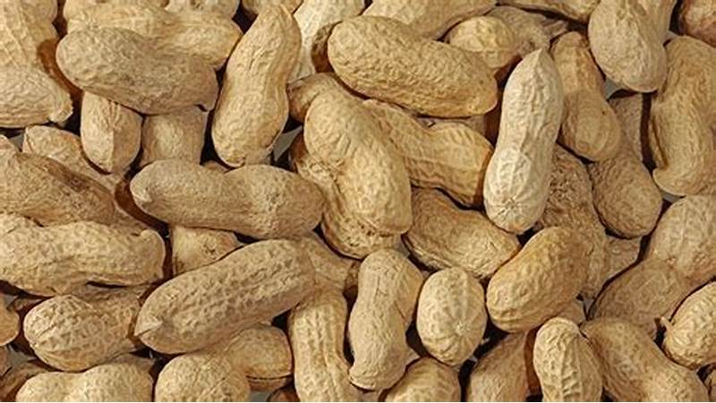 Spiritual Biblical Meaning of Peanuts in a Dream
