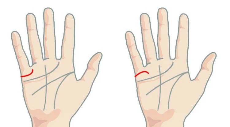 Curved or Straight: The Emotional Compass