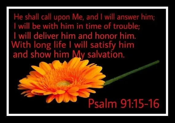 know what does it mean in the bible - 15 AND VERSE 16 KJV