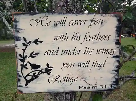 Psalm Ninety One Meaning Verse by Verse - 3 AND 4 KJV COMMENTARY MEANING Bible Gateway