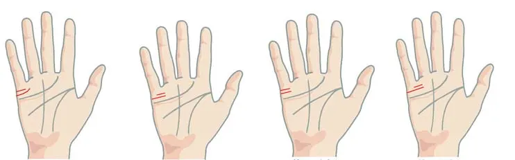 Meaning of Multiple Marriage Lines