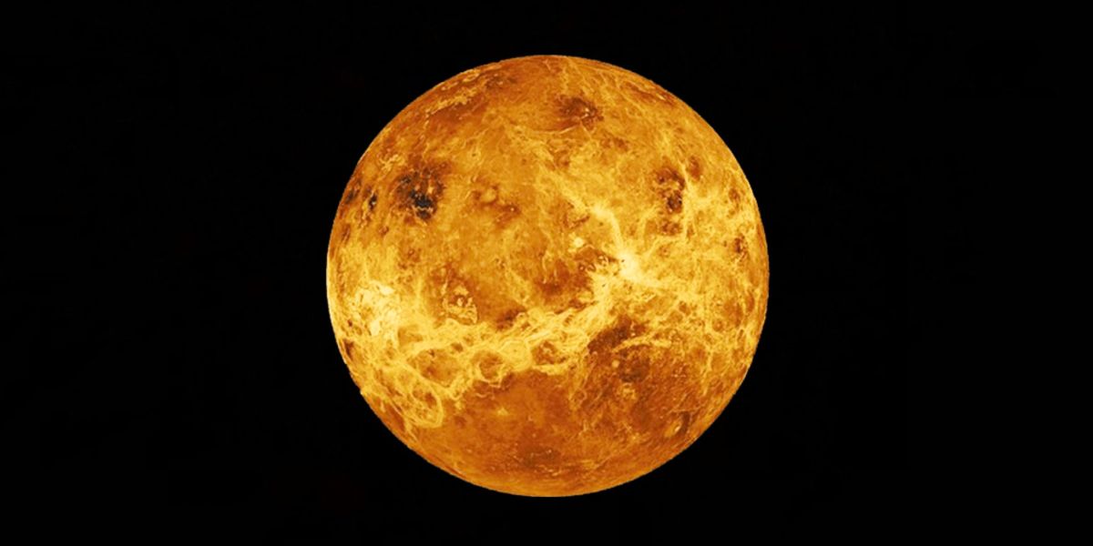 Venus in the 1st House of the Solar Return