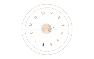 The 3rd House in Astrology