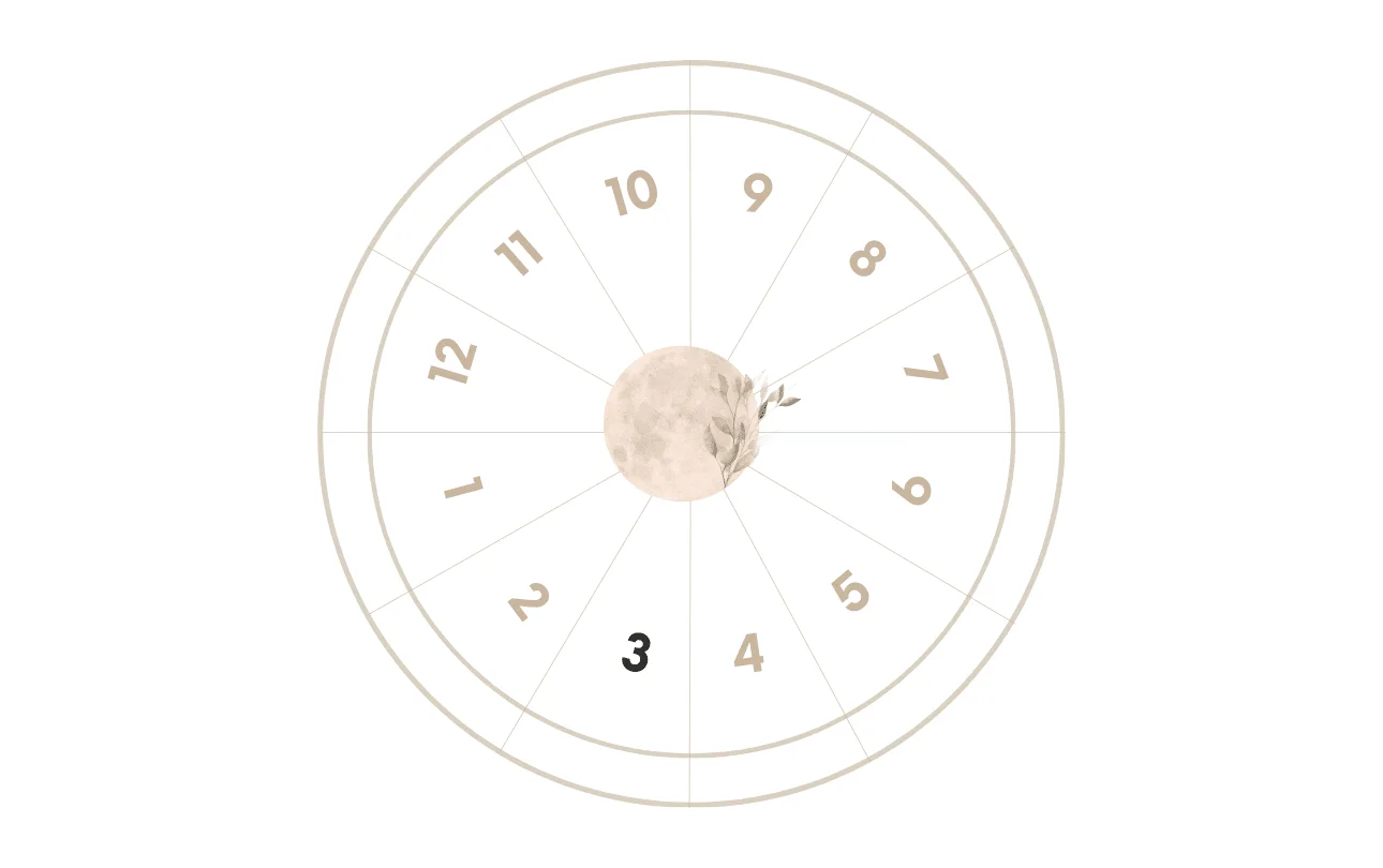 The 3rd House in Astrology : Meaning, Impact And Remedies