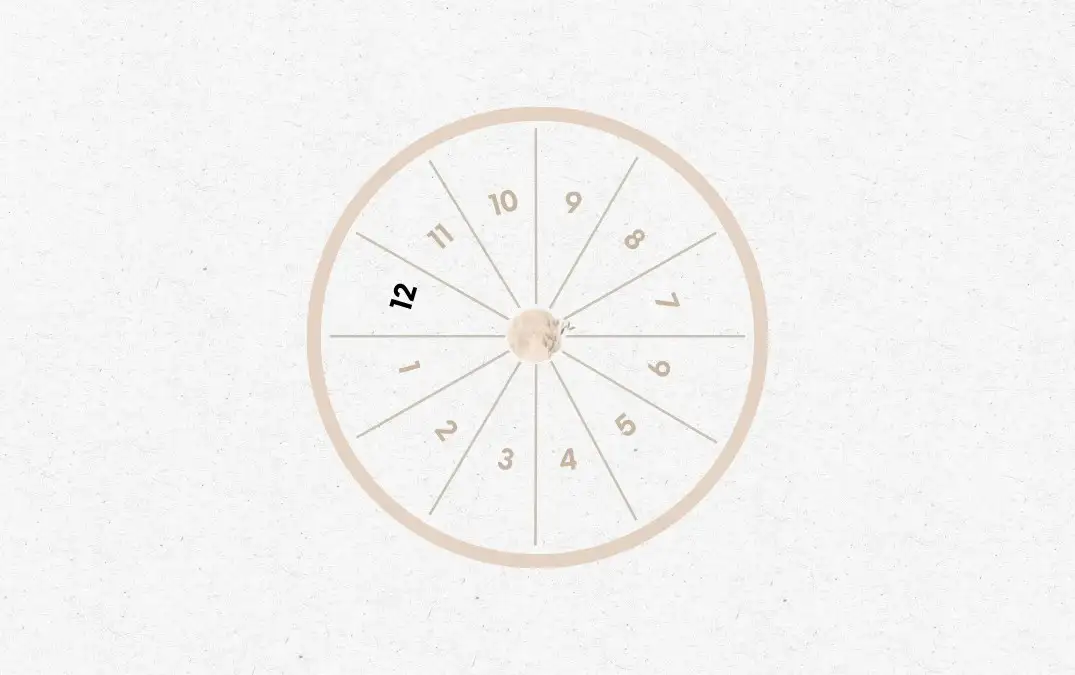 The 12th House in Astrology : Meaning, Impact And Remedies