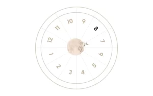 The 8th House in Astrology : Meaning, Impact And Remedies