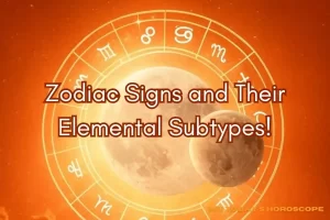 12 Zodiac Signs and Their Elemental Subtypes
