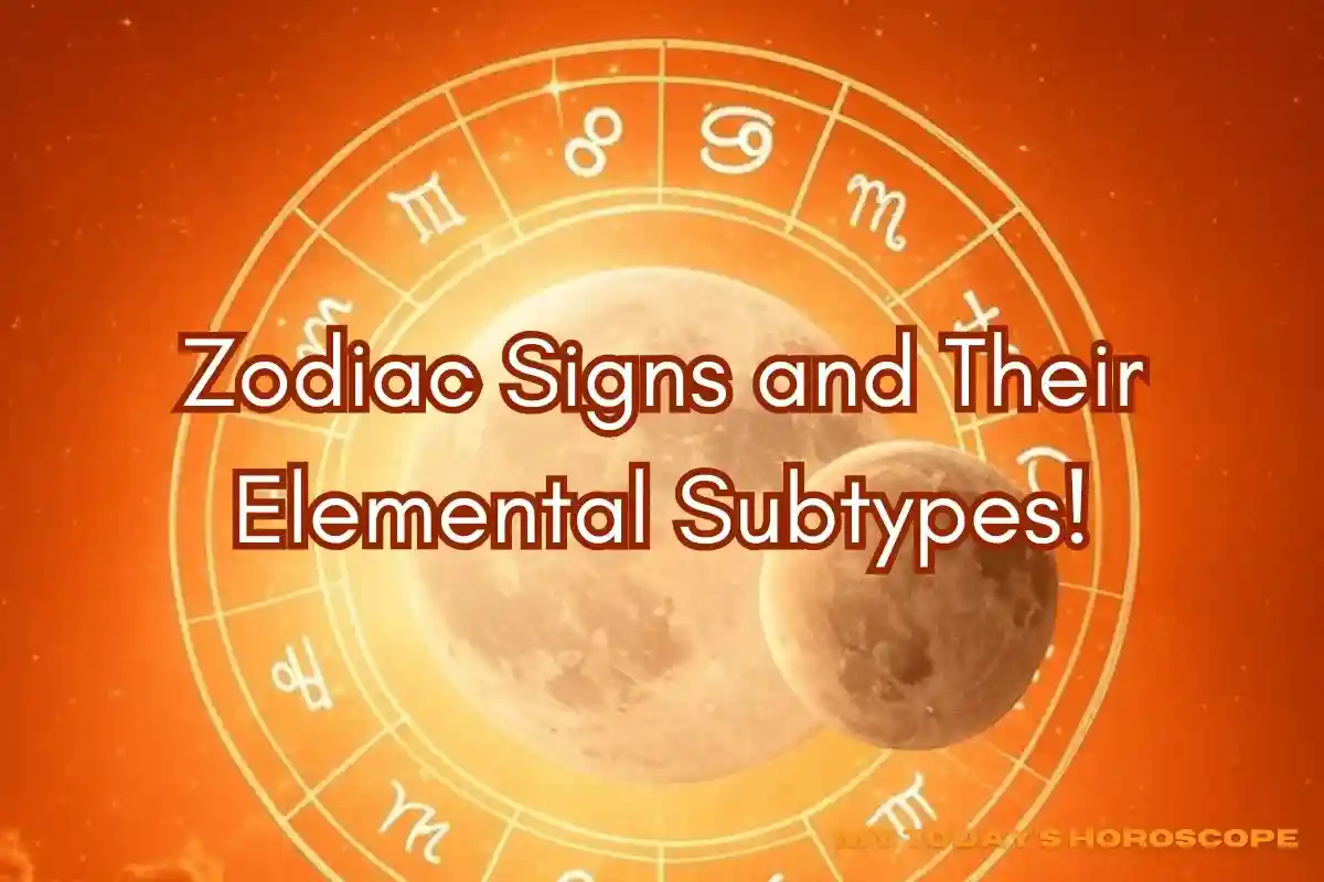 12 Zodiac Signs and Their Elemental Subtypes