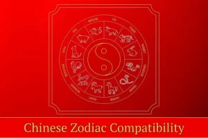 Chinese Zodiac Compatibility