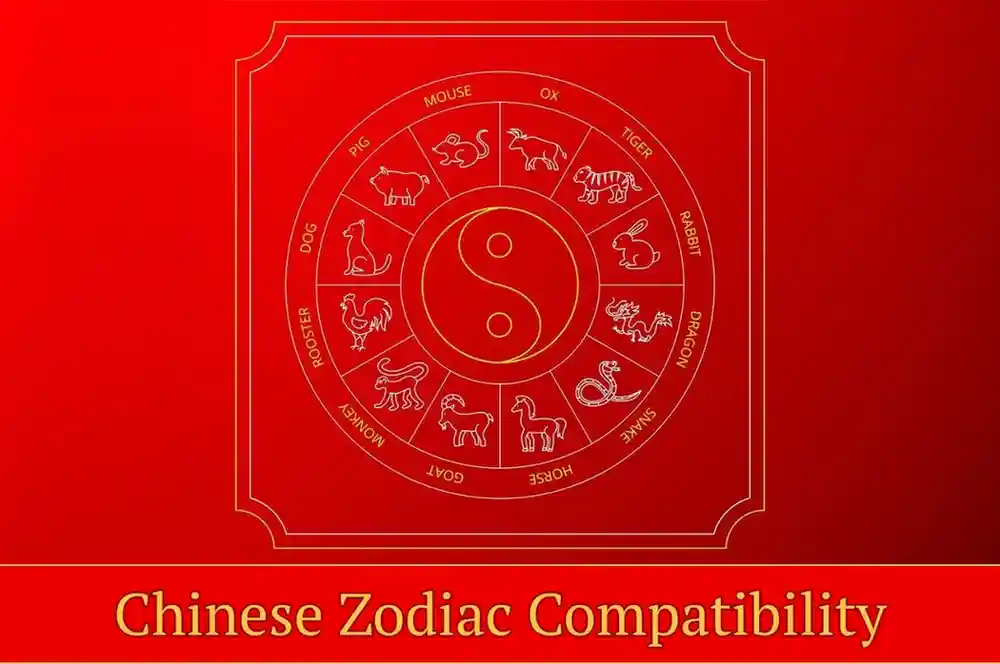 Chinese Zodiac Compatibility
