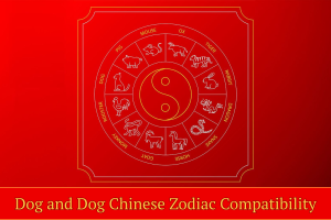 Dog and Dog Chinese Zodiac Compatibility: Love, Friendship, and Harmony