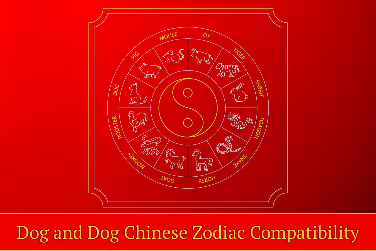 Dog and Dog Chinese Zodiac Compatibility: Love, Friendship, and Harmony