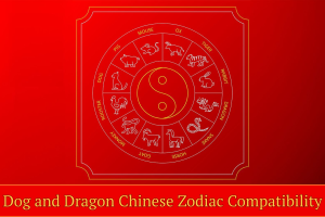 Dog and Dragon Chinese Zodiac Compatibility: Love, Friendship, and Harmony