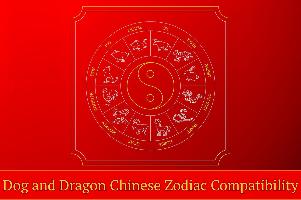 Dog and Dragon Chinese Zodiac Compatibility: Love, Friendship, and Harmony