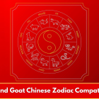 Dog and Goat Chinese Zodiac Compatibility