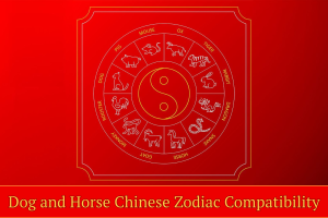 Dog and Horse Chinese Zodiac Compatibility: Love, Friendship, and Harmony