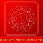 Dog and Monkey Chinese Zodiac Compatibility: Love, Friendship, and Harmony