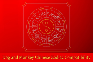 Dog and Monkey Chinese Zodiac Compatibility: Love, Friendship, and Harmony