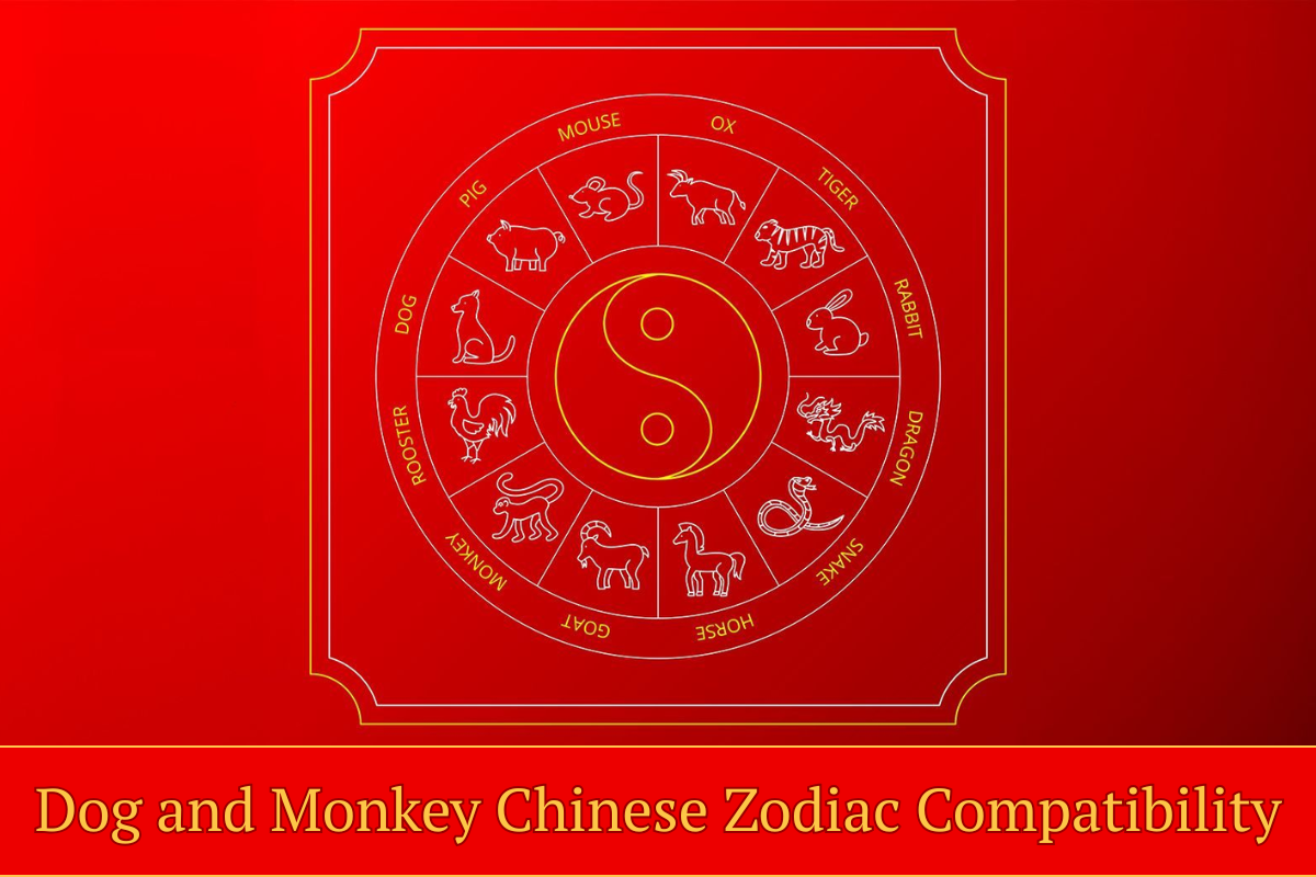 Dog and Monkey Chinese Zodiac Compatibility: Love, Friendship, and Harmony