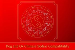 Dog and Ox Chinese Zodiac Compatibility