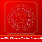 Dog and Pig Chinese Zodiac Compatibility