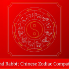 Dog and Rabbit Chinese Zodiac Compatibility
