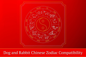 Dog and Rabbit Chinese Zodiac Compatibility