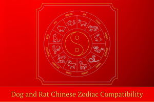 Dog and Rat Chinese Zodiac Compatibility