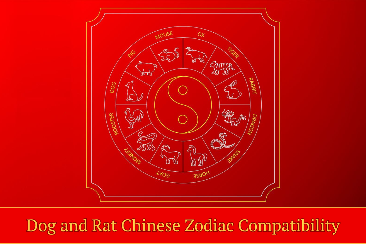 Dog and Rat Chinese Zodiac Compatibility