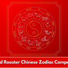 Dog and Rooster Chinese Zodiac Compatibility