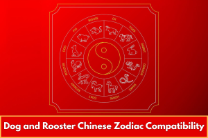 Dog and Rooster Chinese Zodiac Compatibility