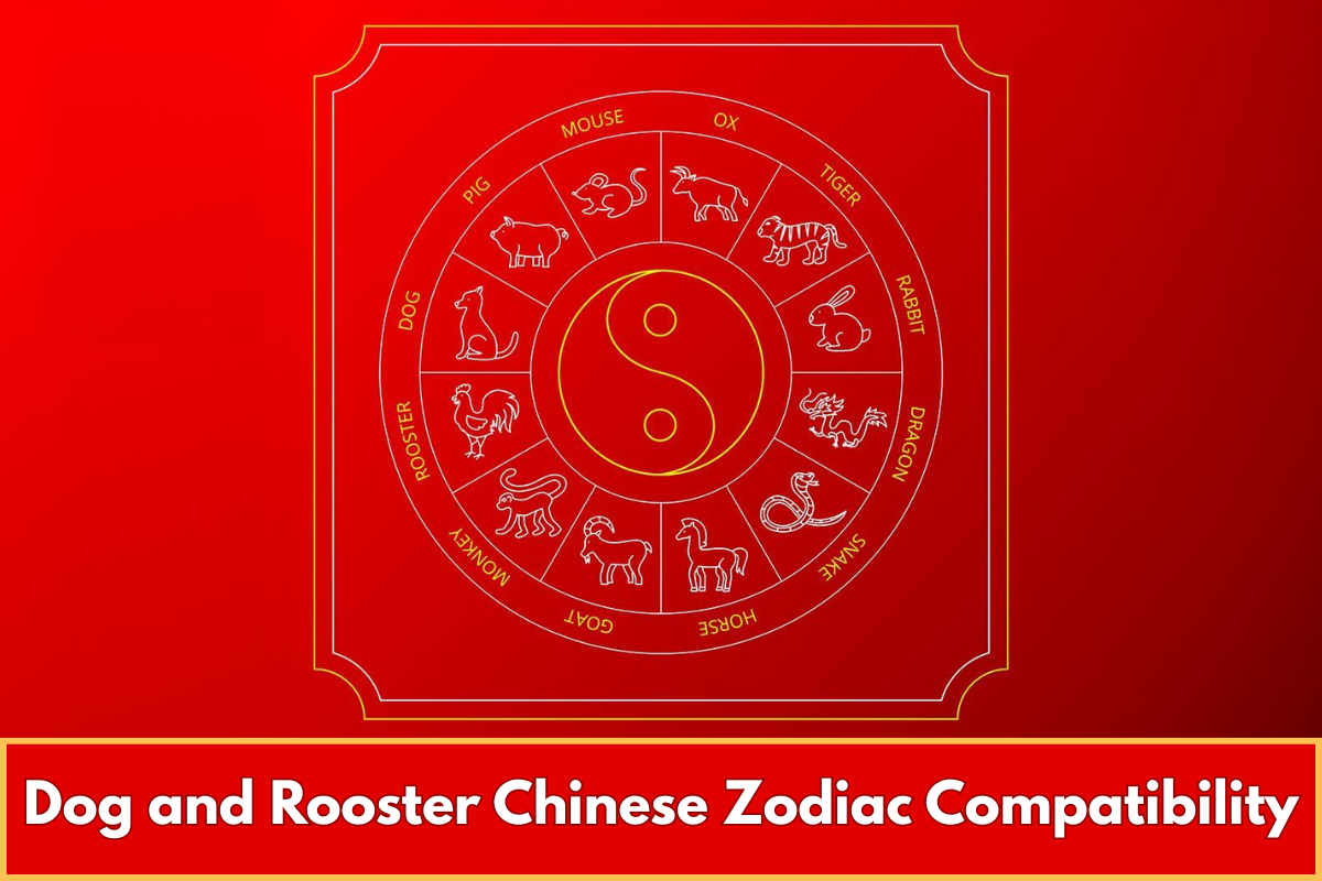 Dog and Rooster Chinese Zodiac Compatibility