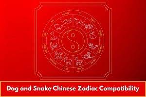 Dog and Snake Chinese Zodiac Compatibility