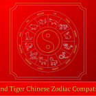 Dog and Tiger Chinese Zodiac Compatibility