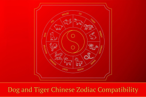 Dog and Tiger Chinese Zodiac Compatibility