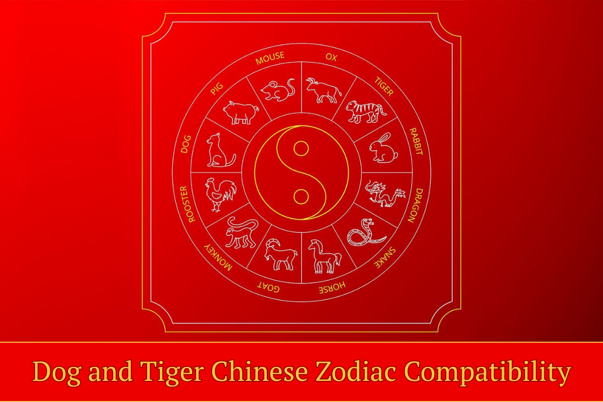 Dog and Tiger Chinese Zodiac Compatibility