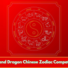 Goat and Dragon Chinese Zodiac Compatibility