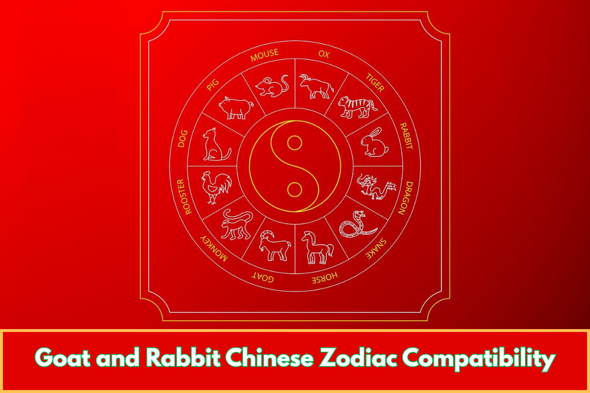 Goat and Rabbit Chinese Zodiac Compatibility