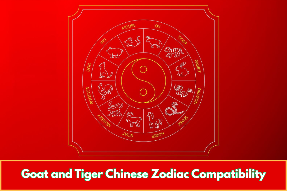 Goat and Tiger Chinese Zodiac Compatibility
