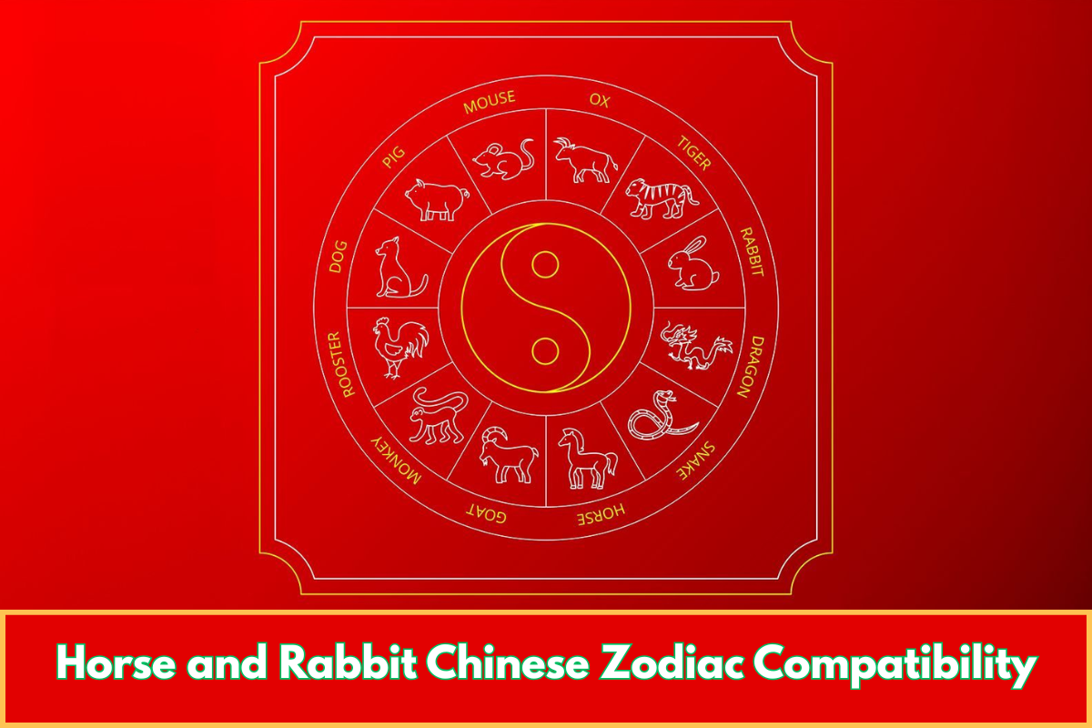Horse and Rabbit Chinese Zodiac Compatibility
