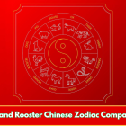 Horse and Rooster Chinese Zodiac Compatibility