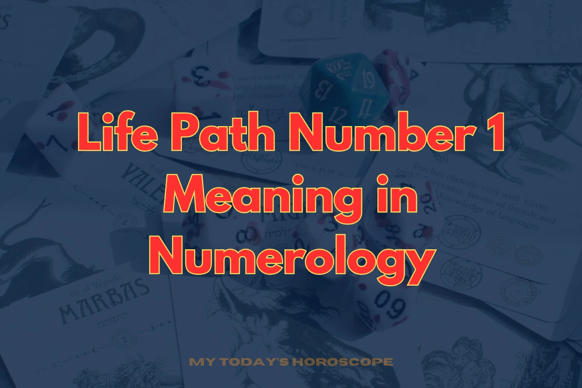 Life Path Number 1 Meaning in Numerology